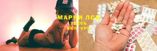 сатива Алзамай