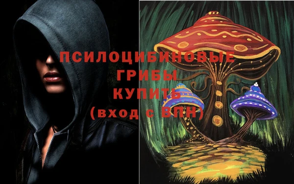 сатива Алзамай