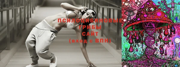 сатива Алзамай