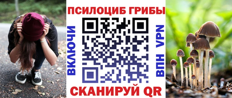 дарнет шоп  Краснообск  Галлюциногенные грибы мухоморы 